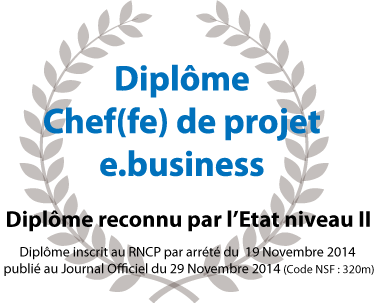 diplome e-business