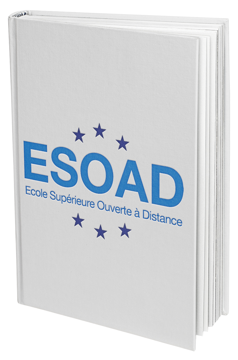 DEMANDE-DE-RENSEIGNEMENTS-ESOAD-1.png