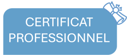 CERTIFICAT PROFESSIONNEL 1.2